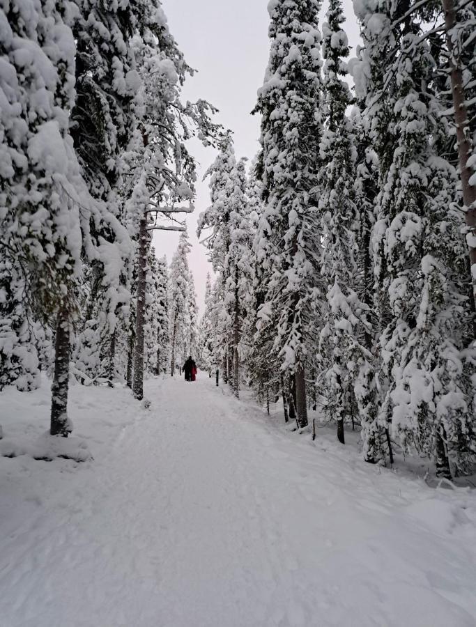 Apartment Naavis Rovaniemi Bagian luar foto