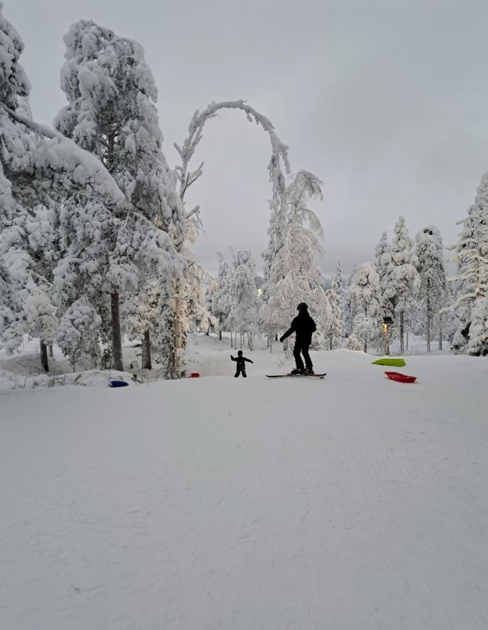 Apartment Naavis Rovaniemi Bagian luar foto